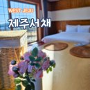 제주서채 | 산방산 근처 숙소 안덕면 펜션 제주서채 작은채 후기