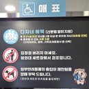 합천영상테마파크 | 아이와 가볼 만한 곳, 사진 찍기 좋은 합천영상테마파크 나들이 후기