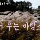 가을노래 특집 3 숨어우는 바람 소리 이미지