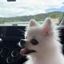 복실방앗간 이미지