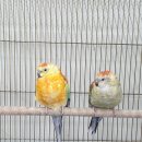 가천목장 이미지