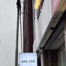 네일비브