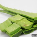 구피헤어