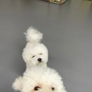 우리집첫째 양산점 이미지