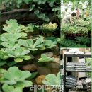 풍경에너지 이미지