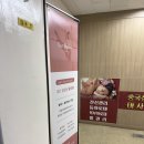 대전 월평동 리즈무용학원 발레핏 체험 후기