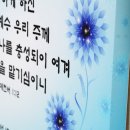 NF001 이미지