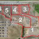 신도리-8 이미지