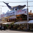 강릉시수산업협동조합 수산물직매장 이미지