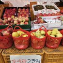 경북영주 풍기인삼축제 | 경북영주 풍기인삼축제 2025 인삼 사과 생강 가격 솔직후기