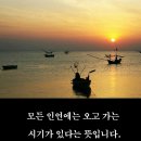 시절인연 이미지