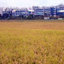 서수원홈플러스 앞 이미지