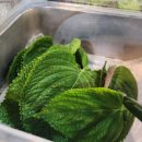 동석목장 이미지