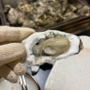 저팔계 | 광주 광산구 하남2지구 굴찜 맛집 저팔계 내돈내산 후기