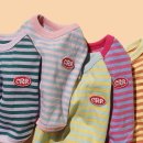 클러스터라운드 이미지