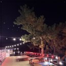 순애식당 이미지