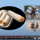 멕시코김밥브리또 이미지