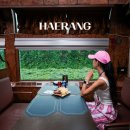 교룡로 | 해랑열차 부모님과 국내여행 기차여행 코스 총정리