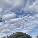 (주)이지켐 | [(주)이지켐 ] CES2026 전시회 참관 후기 ✈️