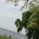 킹스포인트 이미지