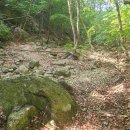 내원사입구- 용연봉- ★정족산- 짚북재- 성불골- 내원사입구 4 이미지