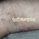 청정탕 이미지