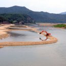 낙동강변4 이미지