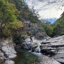 별빛펜션 이미지