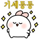 (주)퍼스카 네이버블로그