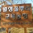 월성농장 이미지