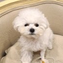 우주동물병원 이미지