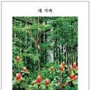 8월 넷째 주 ＜중랑신문- 수요디카시광장＞ 대가족_ 배순애 이미지