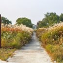 군문 주공 삼거리 이미지