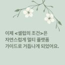 글쓰기 플랫폼 어디까지 써봤어?
