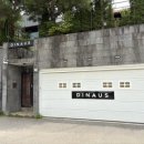 디나우스 이미지