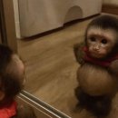 에디스여성병원 | [24week] 디저트 러버의 임당검사+입체·정밀초음파 후기 🍰 in 에디스여성병원