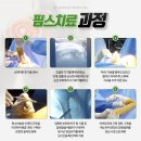 핌스 이미지