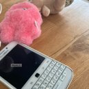 H7L 호스텔 이미지