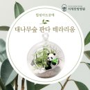 통합요양병원 이미지