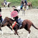 더마파크 이미지