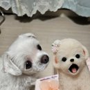 와들스 케이크 이미지