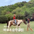 바모스 | 부산어린이승마 승마체험 기장 바모스승마클럽 9살 체험후기