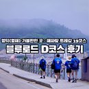 영덕 블루로드 D코스 / 해파랑길 19코스 트레킹 (대게공원-장사해변-삼사해변산책로-강구항)