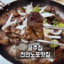 찰떡 궁합 | 천안 성환 간장닭갈비 맛집, 무생채와 찰떡궁합 공주집 내돈내산후기