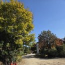 금정 경로당 | 부산 근교 사찰 국내 최대 좌불상이 있는 홍법사 주차정보·방문 후기