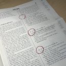 나는 작다!!! [5월 더프 후기]
