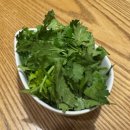 매력식당 | 서울 합정 맛집 l 타코, 치미창가의 매력 '멕시코식당' 본점 내돈내산 후기