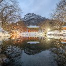 동산상회 이미지