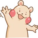 더코디셉 이미지