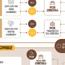 인지 태권도 이미지